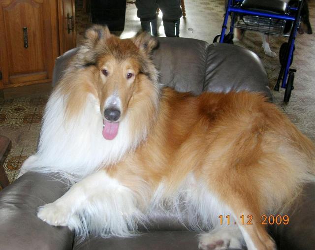 Collection Virtuel Sunbeam ne n/c (Yeux normaux Non-Porteur) "Jackoby"_DSCN9680