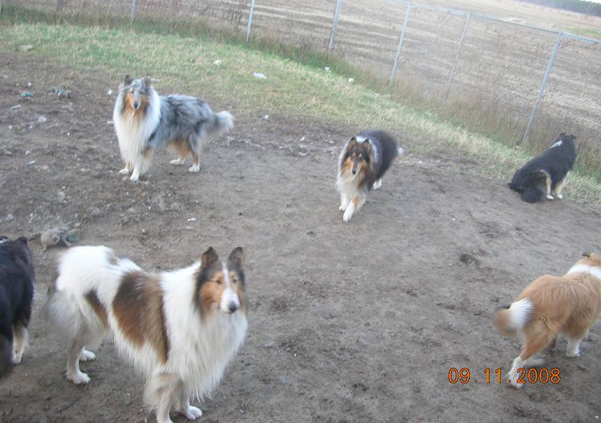 Flocon-Eagle-Tommy-Anna-Sunnny_DSCN8775