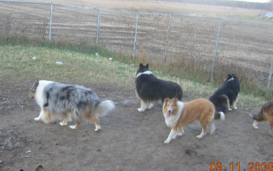 Eagle-Tommy-Jackoby-Anna_DSCN8774