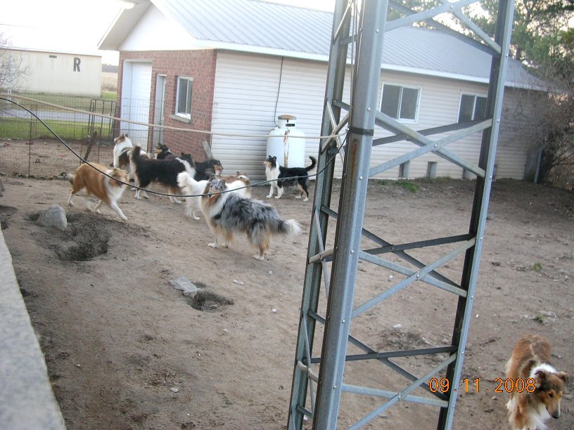 Zoé-Sunny--Eagle-Snow-Caro-tommy-Lolli_DSCN8766