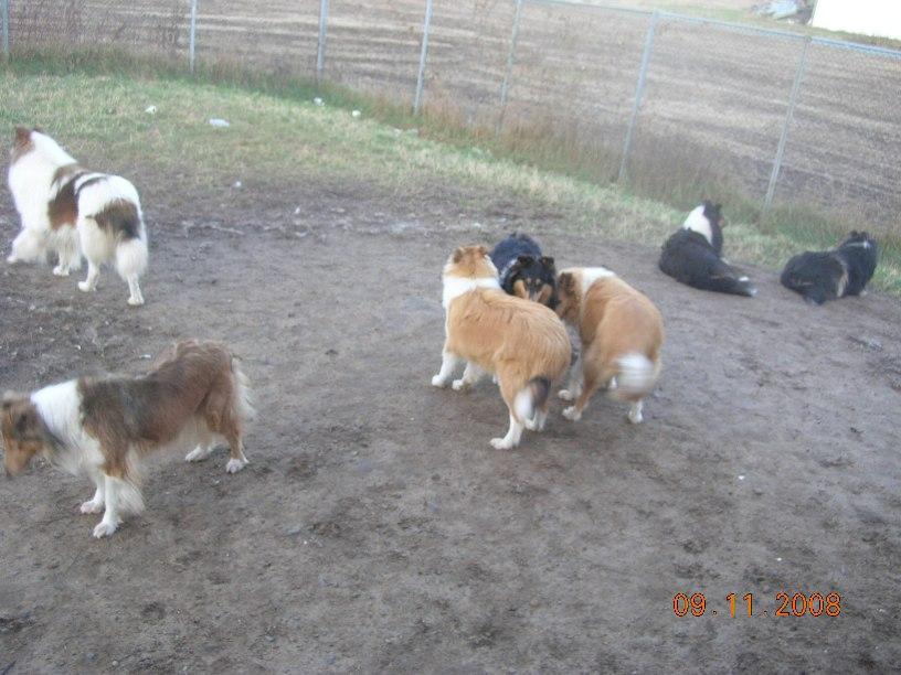 Zoé-flocon-Jackoyi-Sunny-Caro-Anna_DSCN8759